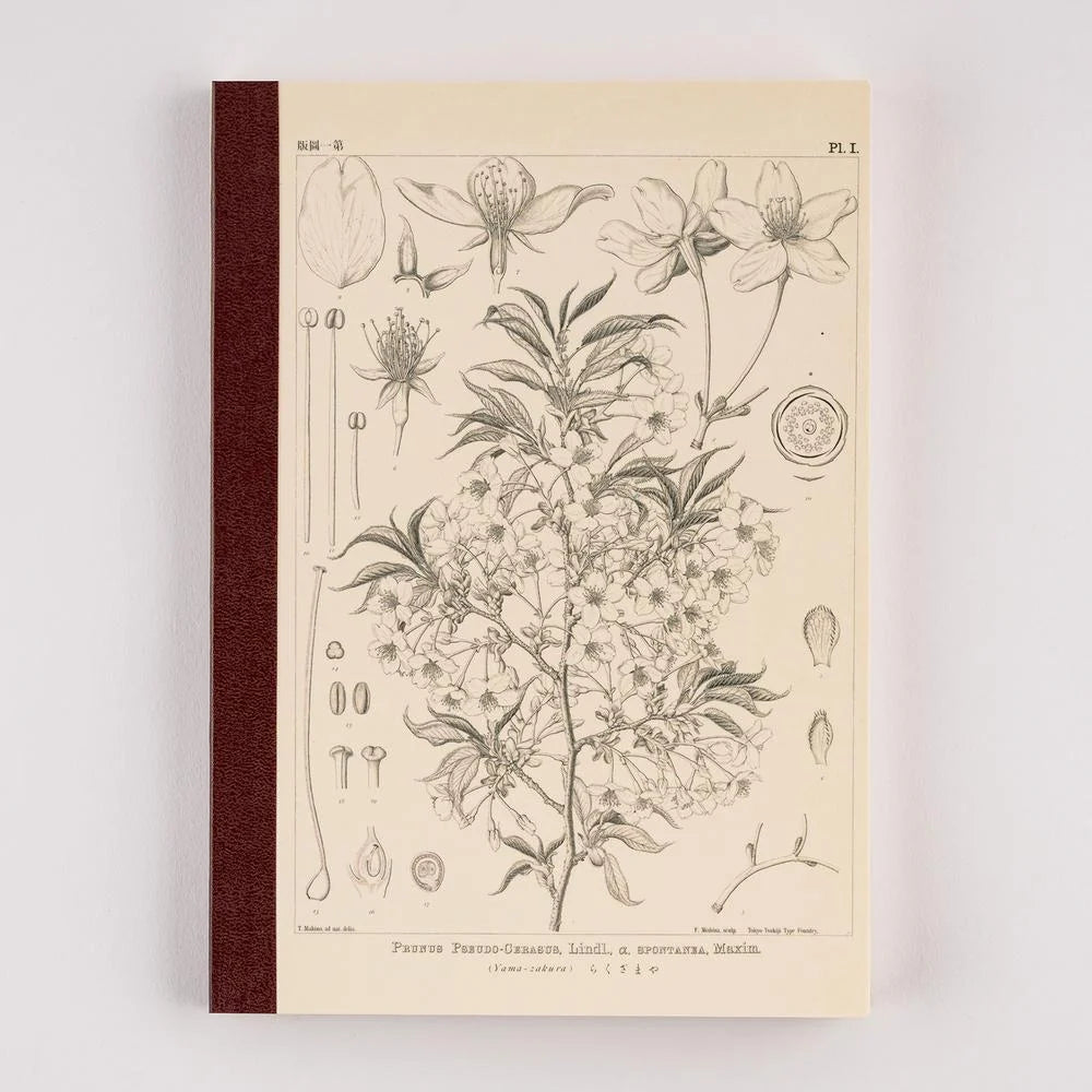 Hobonichi Techo Accessories Tomitaro Makino: Hobonichi Graph Notebook / Coming Soon!