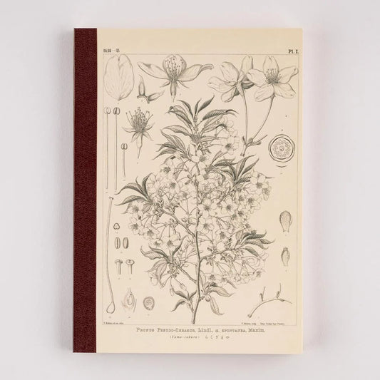 Hobonichi Techo Accessories Tomitaro Makino: Hobonichi Graph Notebook / Available In-store Only