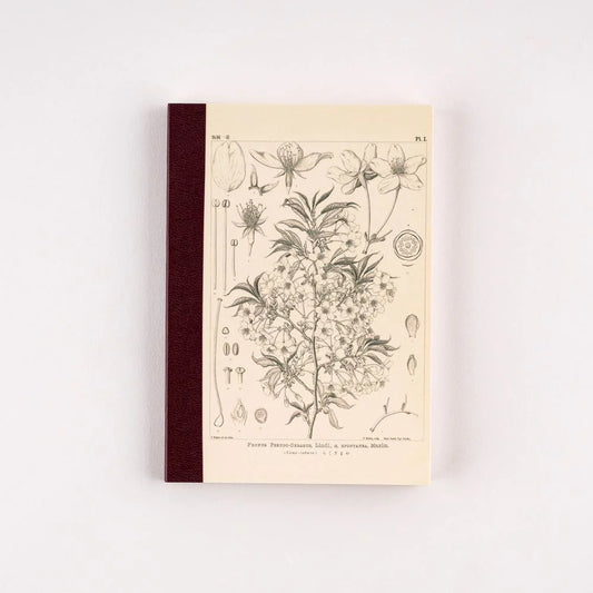 Hobonichi Techo Accessories Tomitaro Makino: Hobonichi Graph Notebook / Available In-store Only